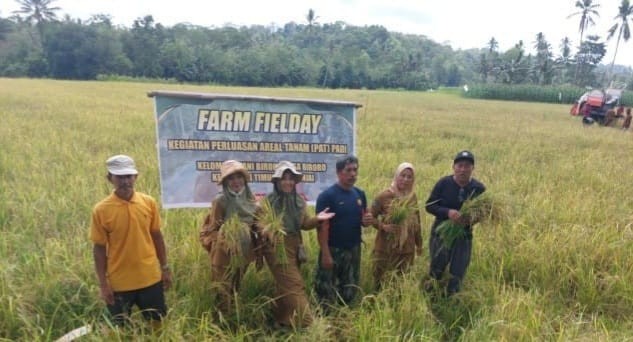 Petani Sinjai Harapkan Bulog Serap Gabah dengan Harga Sesuai Ketetapan Pemerintah