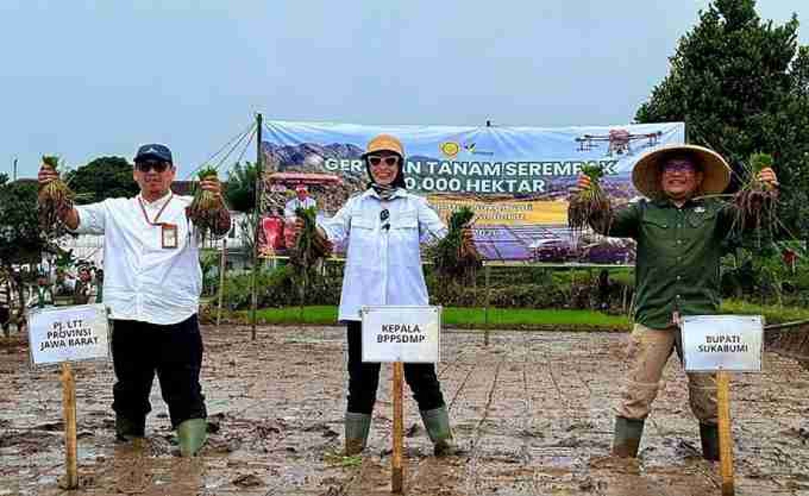 Jaga Produksi Pangan, Kementan Percepat Tanam Oplah dan CSR 26 Provinsi