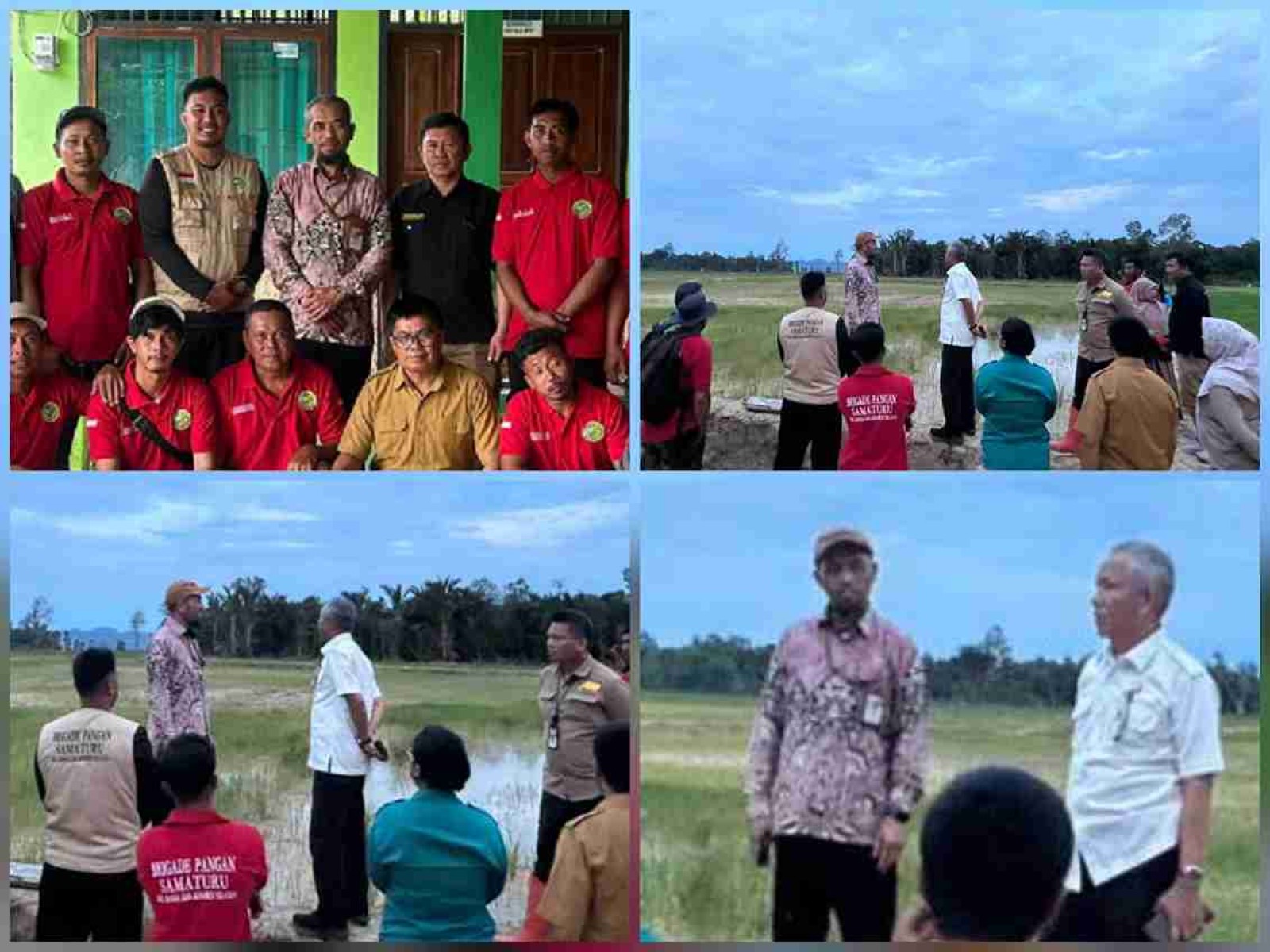 Kejar Produksi, Kementan Dorong Brigade Pangan Sultra Bergerak Lebih Cepat
