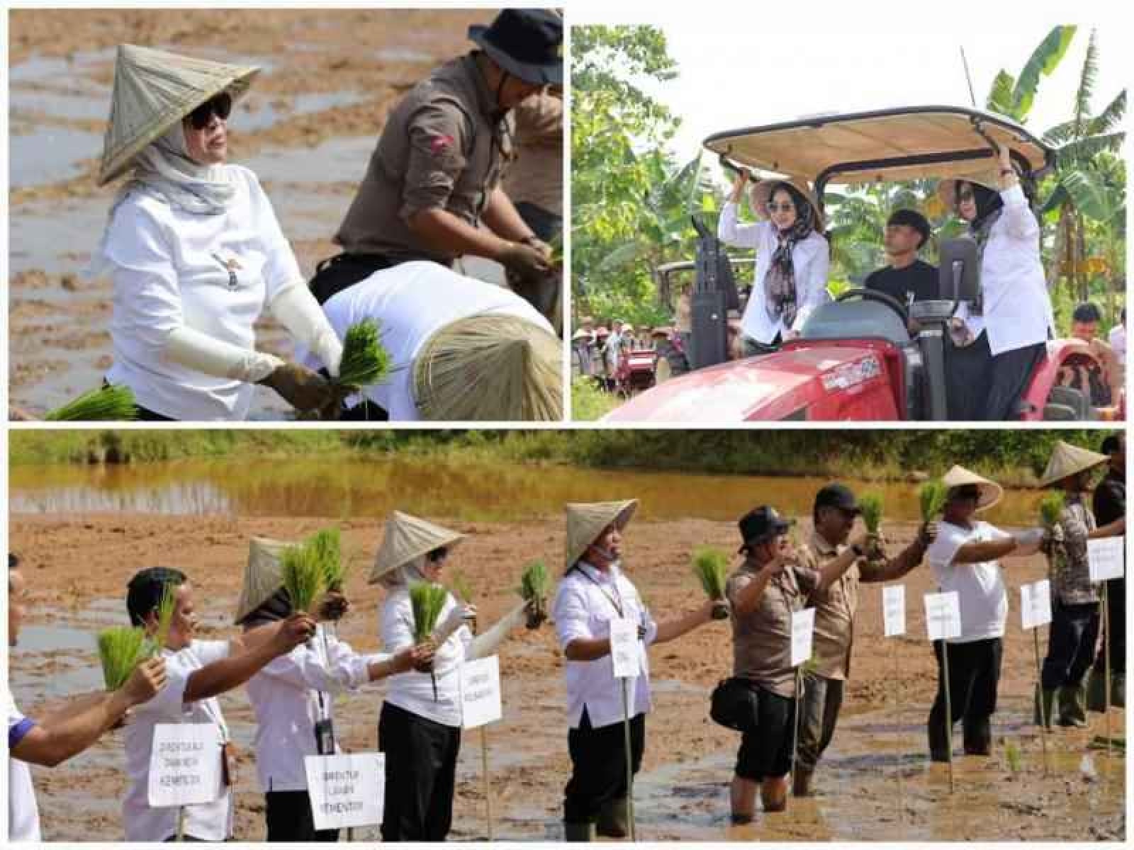 Kolaborasi Pusat   Daerah Menguat, Kementan Dukung Tanam Bersama di Gowa Sulsel