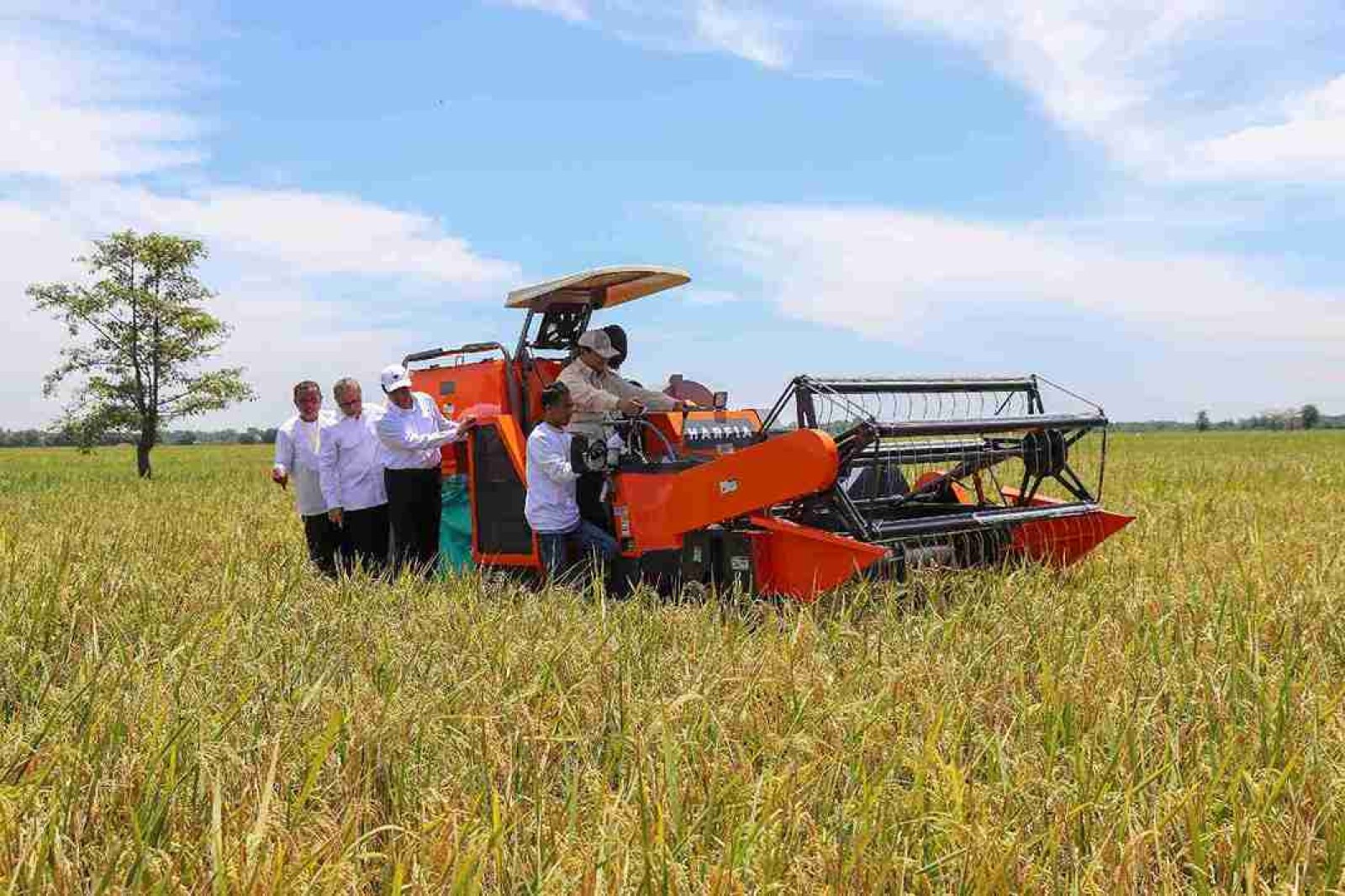Tak Sekadar Program, Kebijakan Mentan Amran Dinilai Jadi Fondasi Ekosistem Pangan