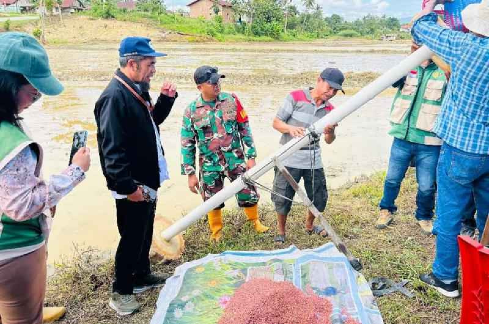 Gertam 50 Ribu Ha, Kolaka Timur Sultra Garda Terdepan Produksi Padi Nasional