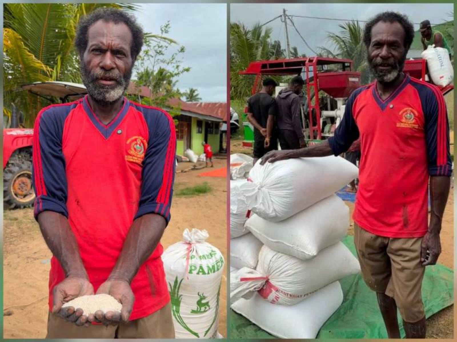 Lahan CSR, Petani Papua: Pemerintah Bantu Kami Kelola Lahan Sendiri