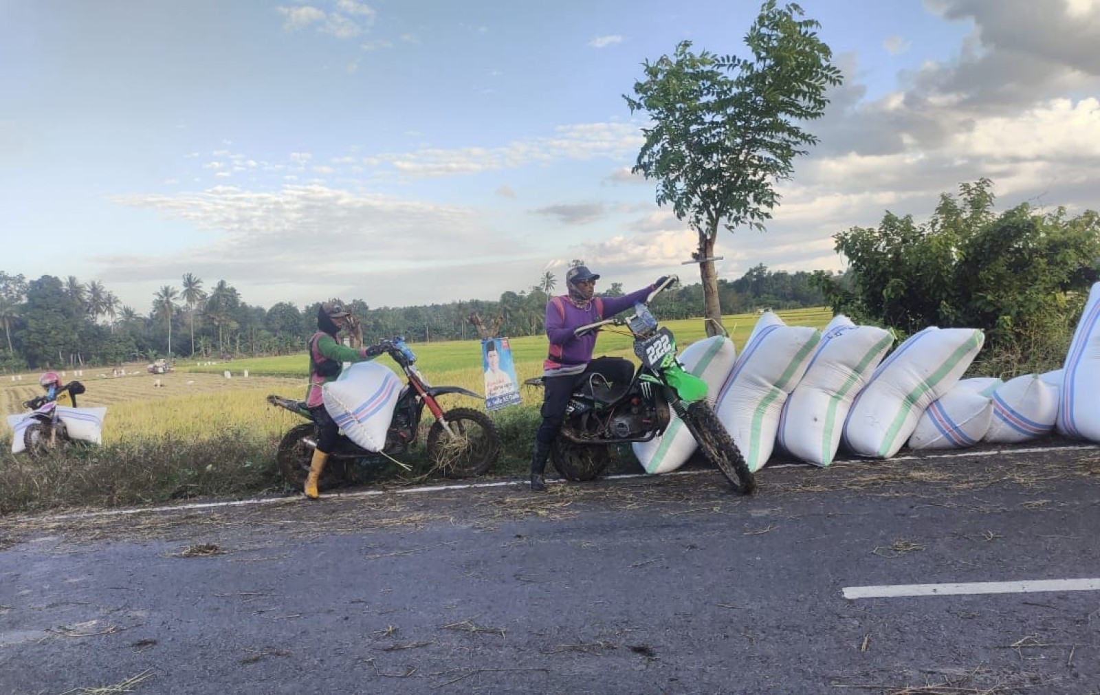 Akses ke Bulog Lebih Sulit, Petani Sulsel Jual Gabah ke Tengkulak