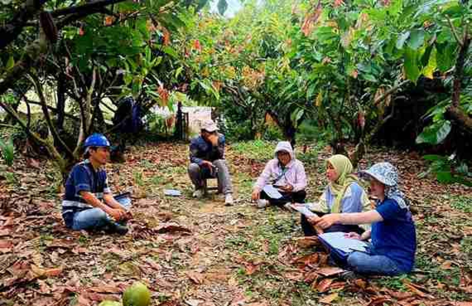 Agronomi Kakao, Widyaiswara UPT Pelatihan Kementan Siap Transfer Ilmu